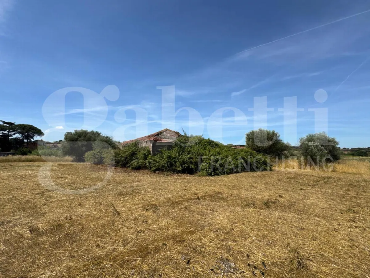 Rustico/Casale in vendita a Marino - foto 3