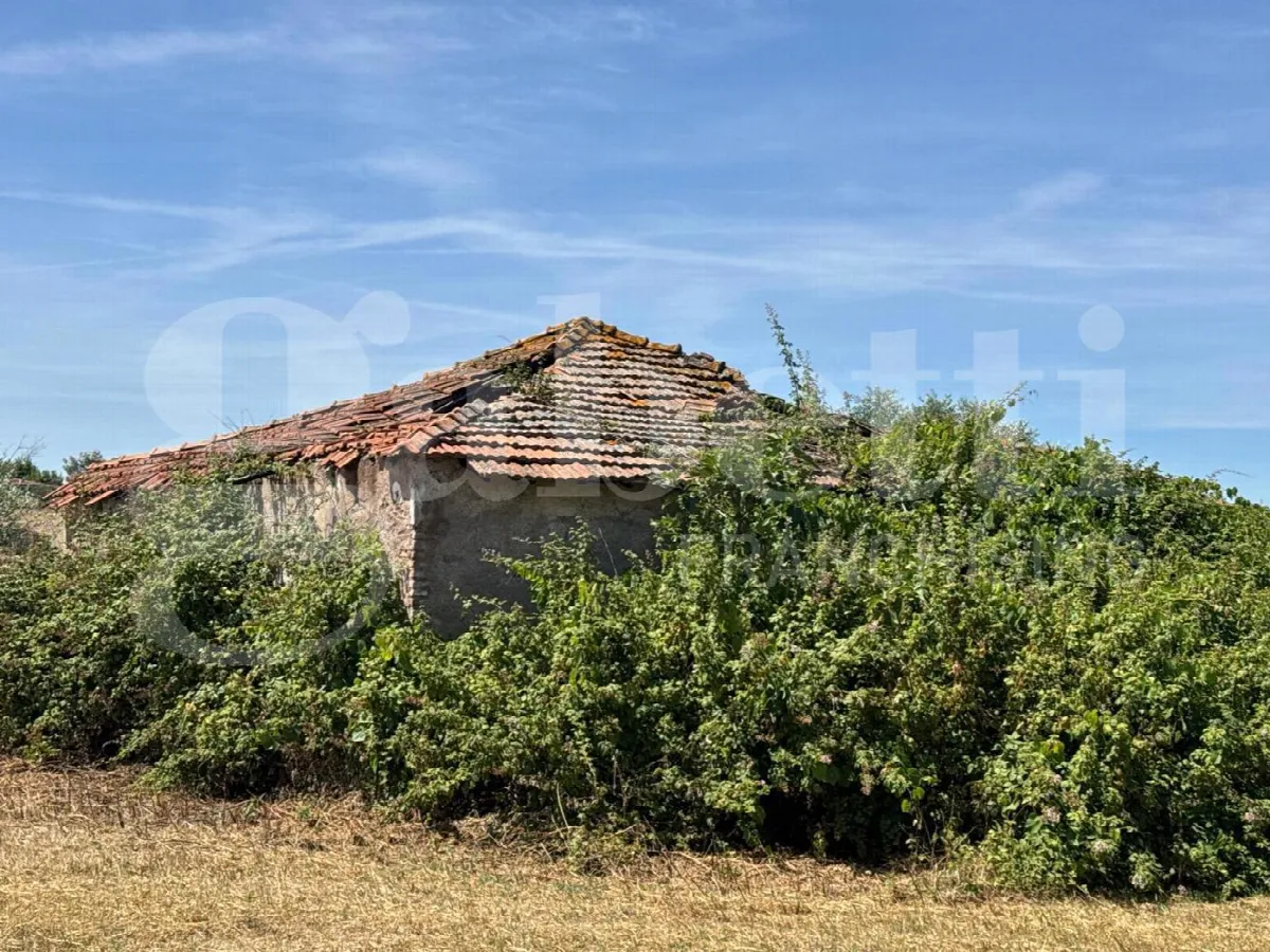 Rustico/Casale in vendita a Marino - foto 4
