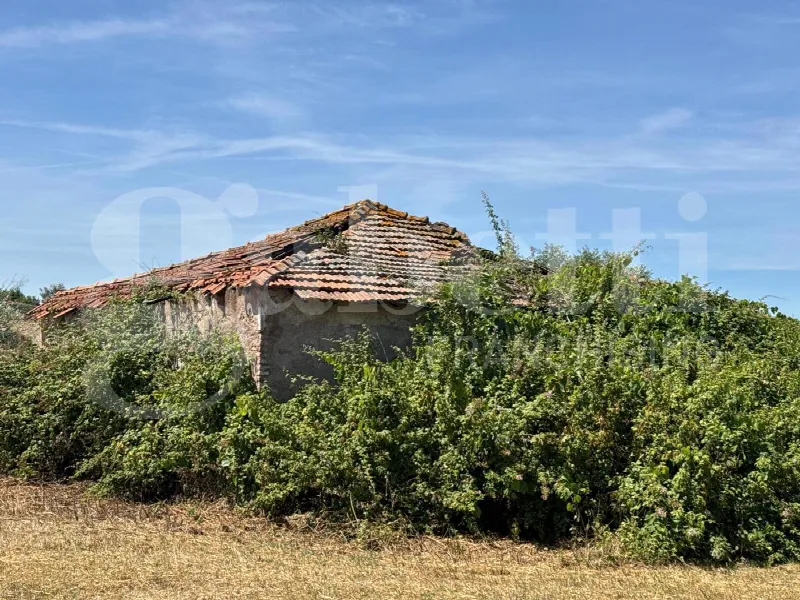 Rustico/Casale in vendita a Marino - foto 4