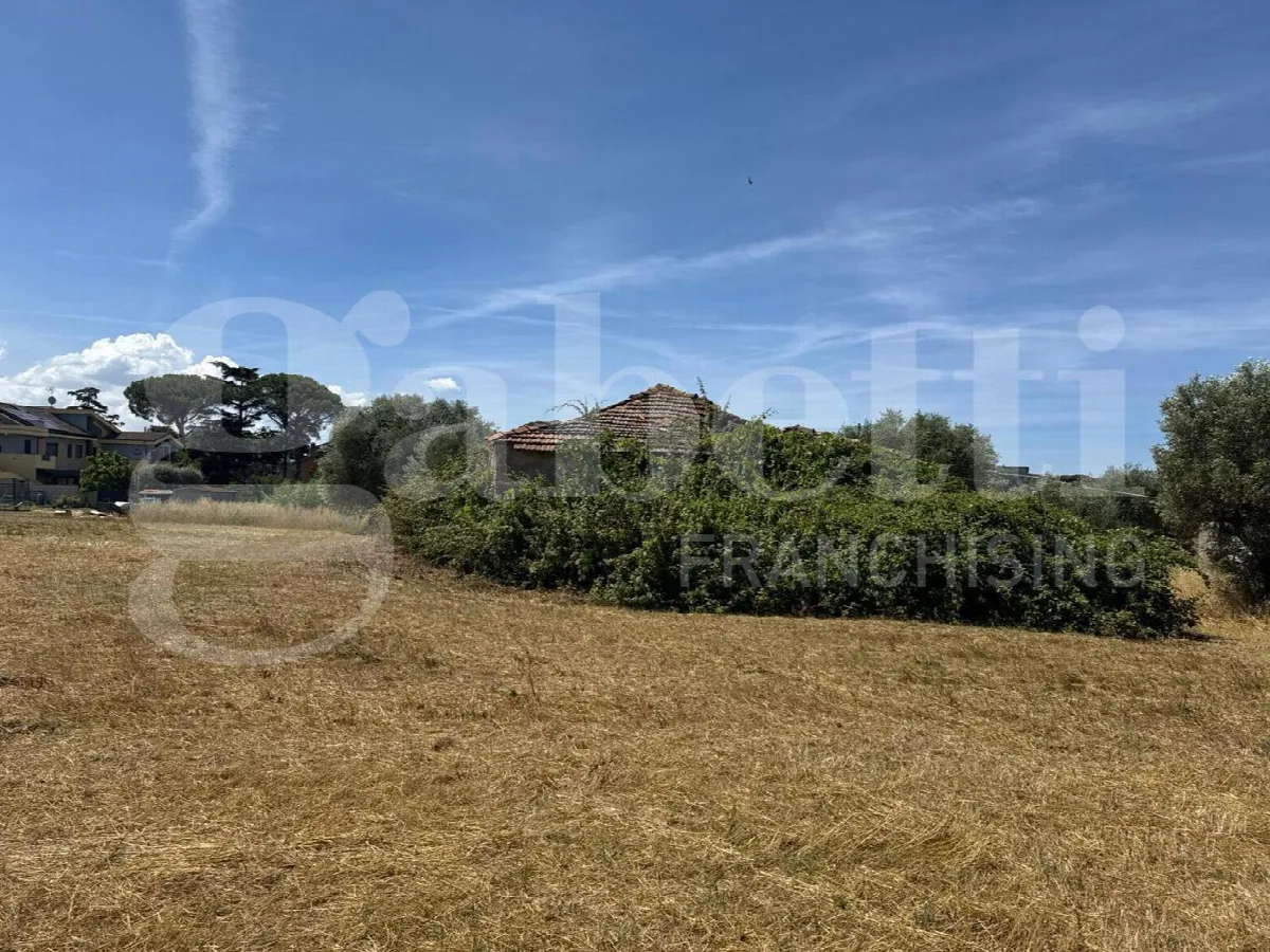 Rustico/Casale in vendita a Marino - foto 5