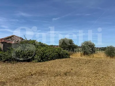 Rustico/Casale in vendita a Marino - foto 7