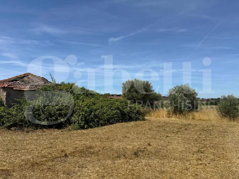 Rustico/Casale in vendita a Marino - foto 7