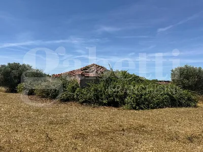 Rustico/Casale in vendita a Marino - foto 8