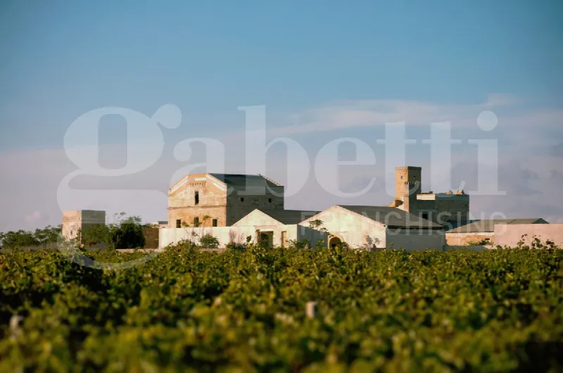 Villa in vendita a Marsala - foto 3