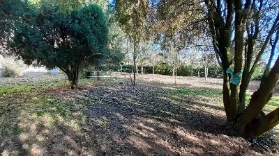 Villetta a schiera in vendita a Argenta - foto 5