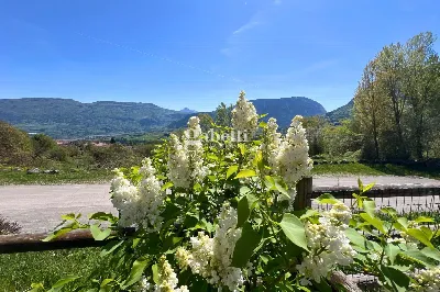 Appartamento in vendita a Bleggio Superior... - foto 9