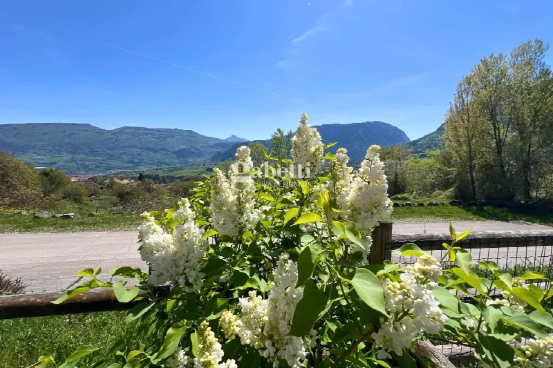 Appartamento in vendita a Bleggio Superiore - foto 9