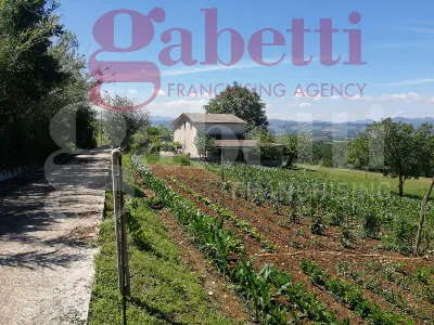 Casa Indipendente in vendita a Gioia Sanni... - foto 2