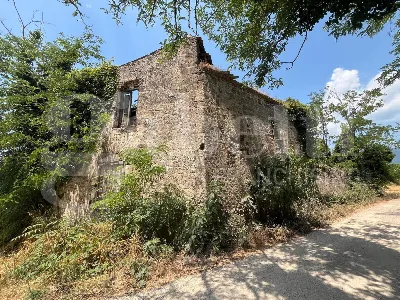 Rustico/Casale in vendita a Alife - foto 3