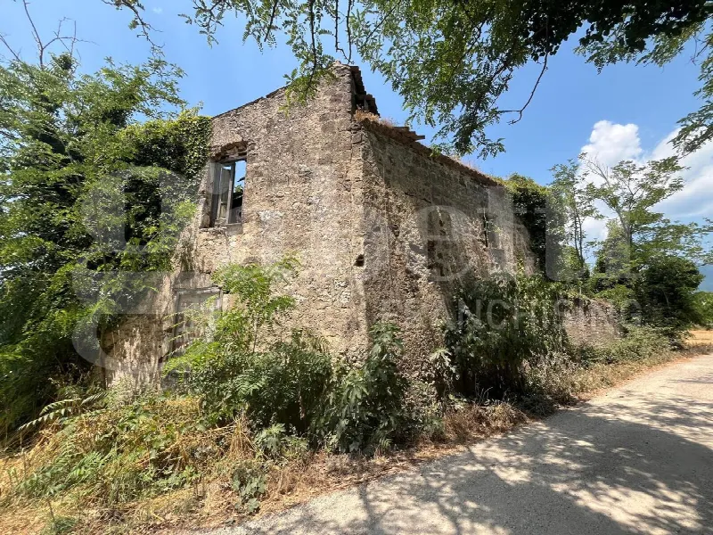 Rustico/Casale in vendita a Alife - foto 3