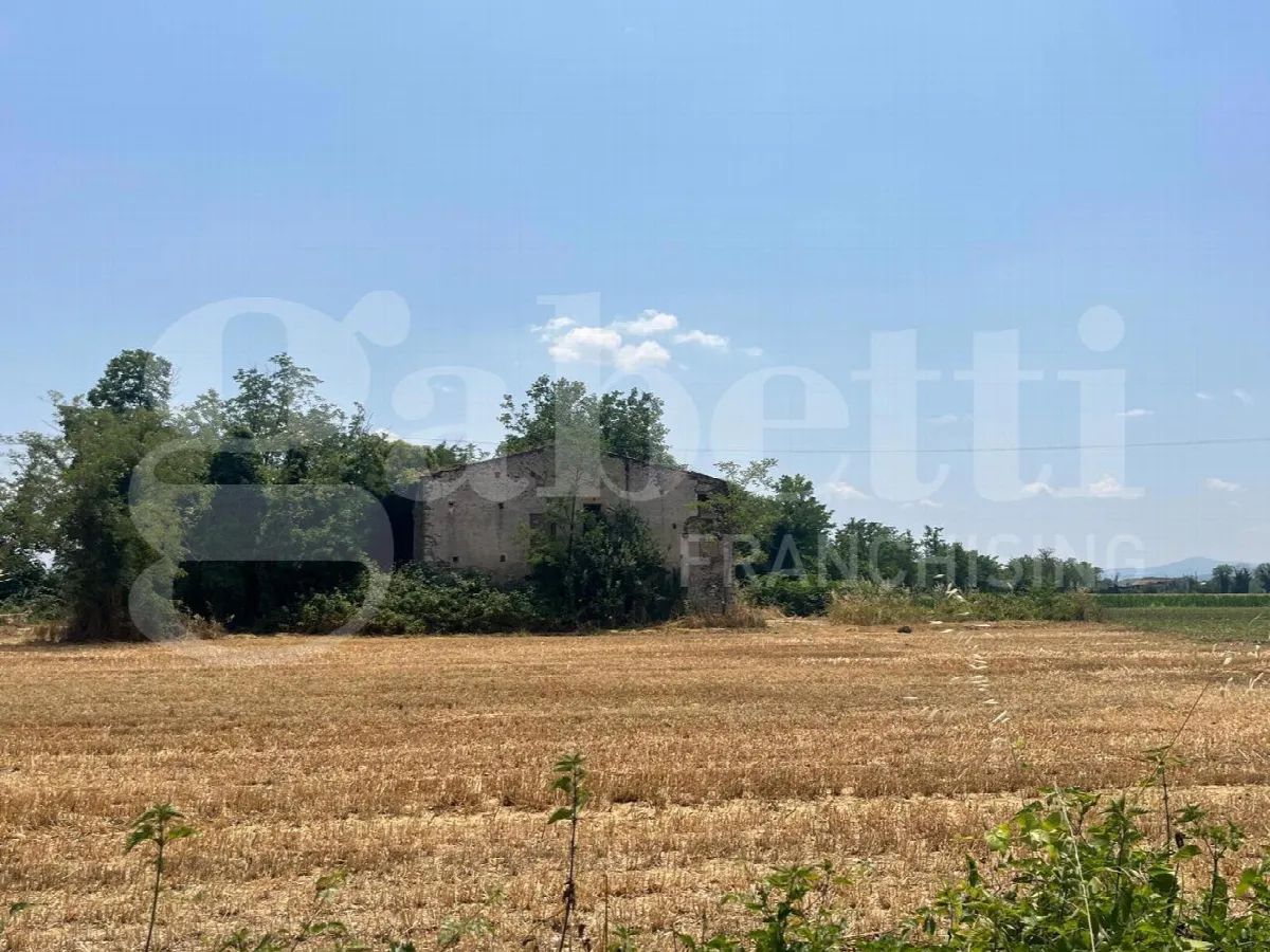 Rustico/Casale in vendita ad Alife - foto 4