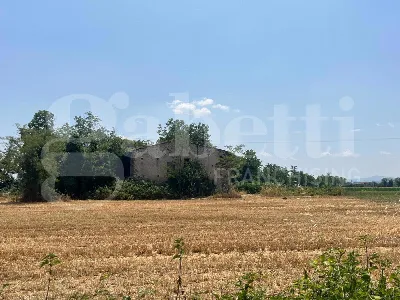 Rustico/Casale in vendita a Alife - foto 4