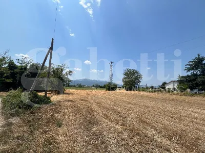Rustico/Casale in vendita a Alife - foto 6
