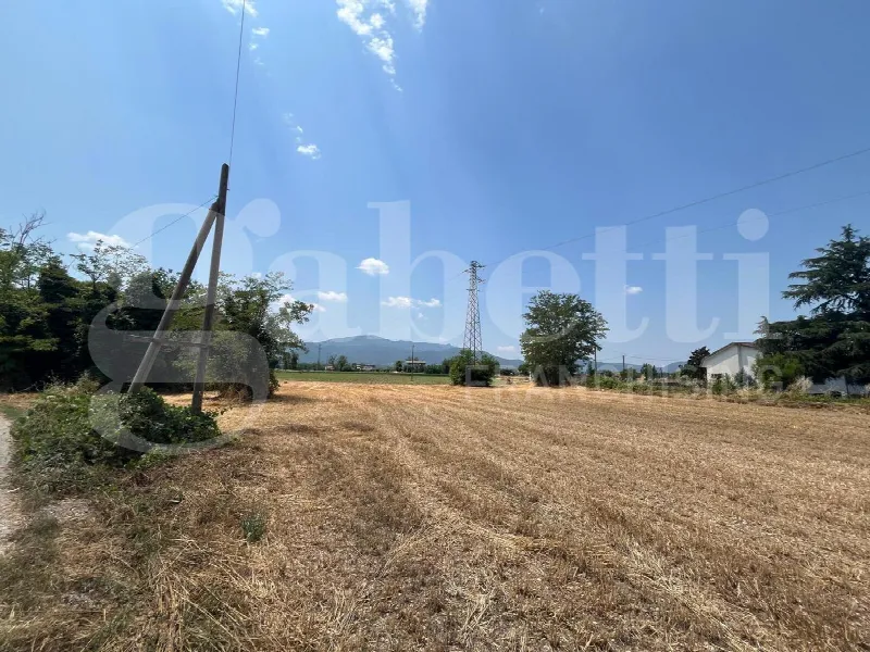 Rustico/Casale in vendita a Alife - foto 7