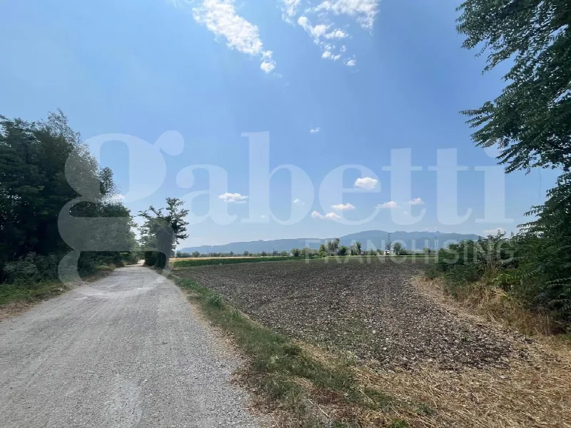 Rustico/Casale in vendita a Alife - foto 9