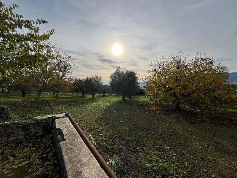 Rustico/Casale in vendita a Sant'Angelo d'Alife - foto 4