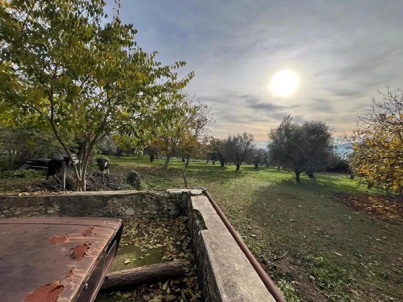 Rustico/Casale in vendita a Sant'Angelo d'Alife - foto 5