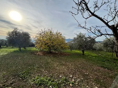 Rustico/Casale in vendita a Sant'Angelo d'... - foto 6