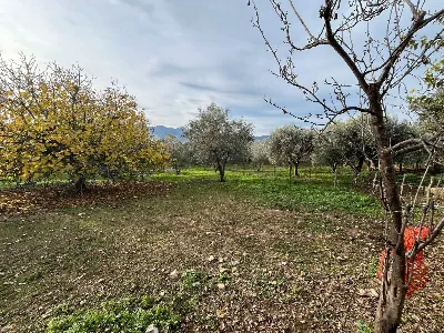 Rustico/Casale in vendita a Sant'Angelo d'... - foto 7