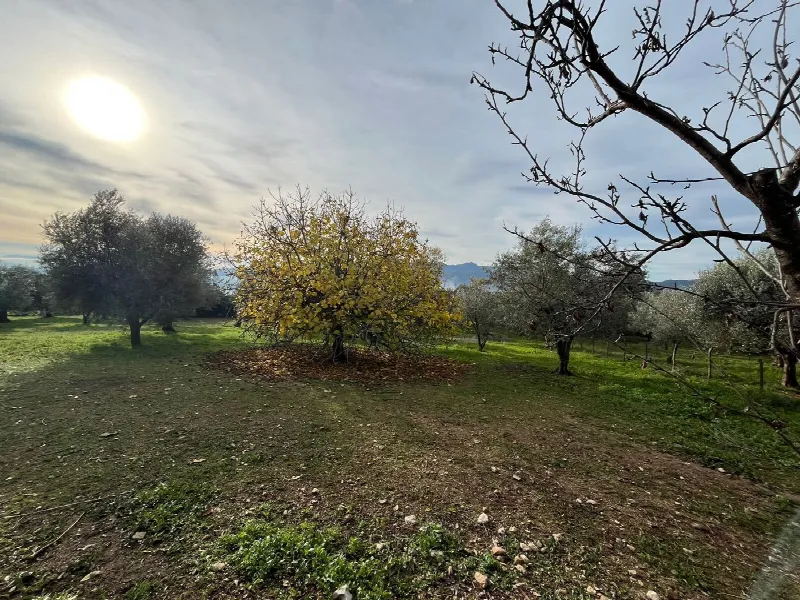 Rustico/Casale in vendita a Sant'Angelo d'Alife - foto 8