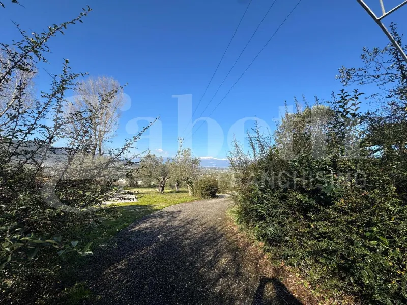 Villa in vendita a Caiazzo - foto 6
