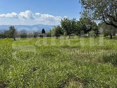 Rustico/Casale in vendita a Alife - foto 10