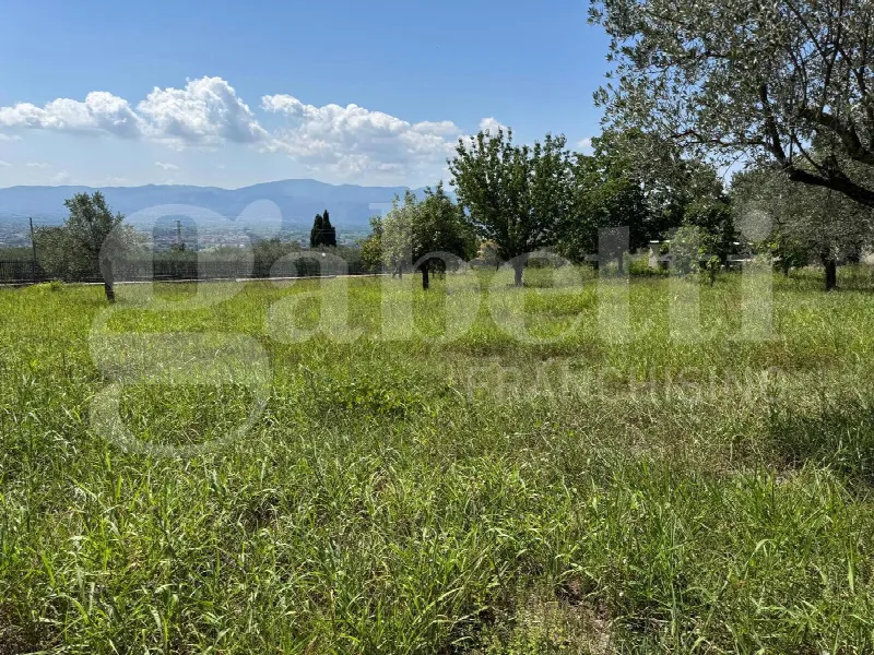 Rustico/Casale in vendita a Alife - foto 10