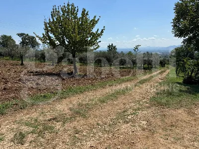 Rustico/Casale in vendita a Alife - foto 7