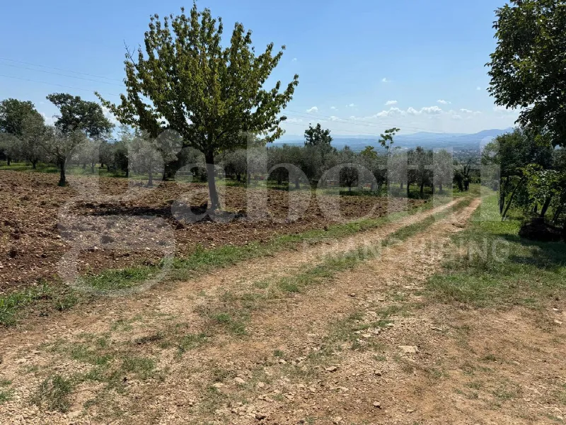 Rustico/Casale in vendita a Alife - foto 7