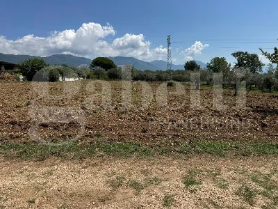 Rustico/Casale in vendita a Alife - foto 8