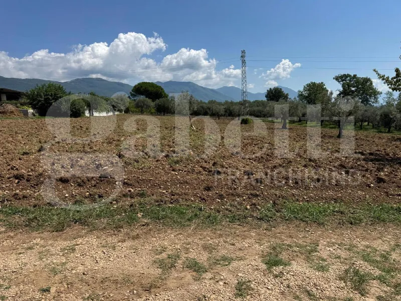 Rustico/Casale in vendita a Alife - foto 8