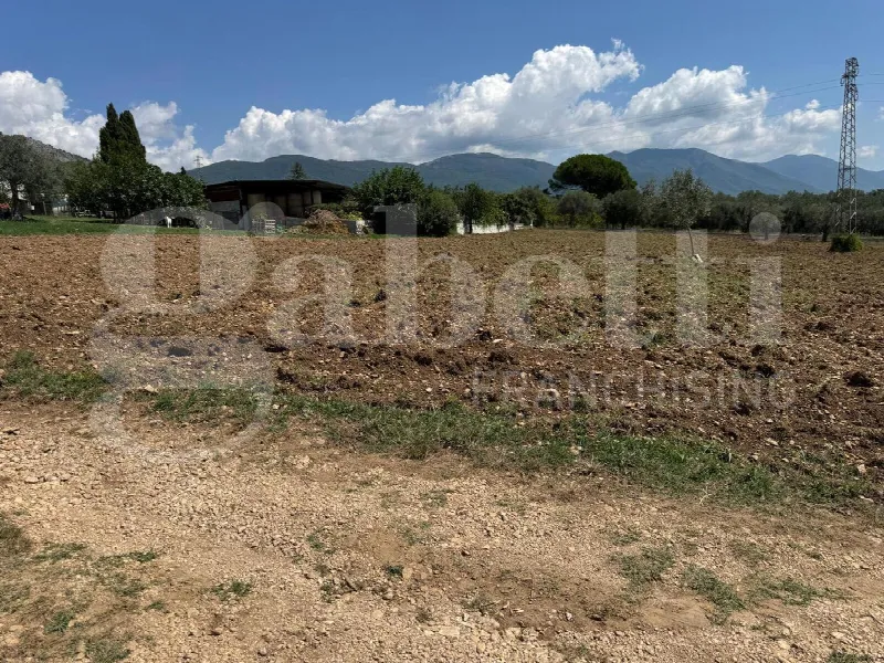 Rustico/Casale in vendita a Alife - foto 9