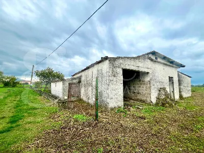 Rustico/Casale in vendita a Alife - foto 1