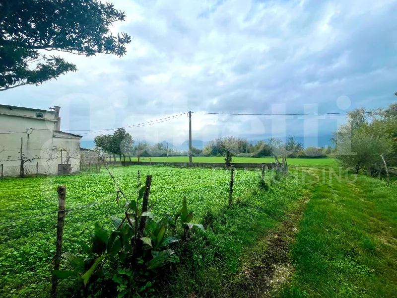 Rustico/Casale in vendita a Alife - foto 10