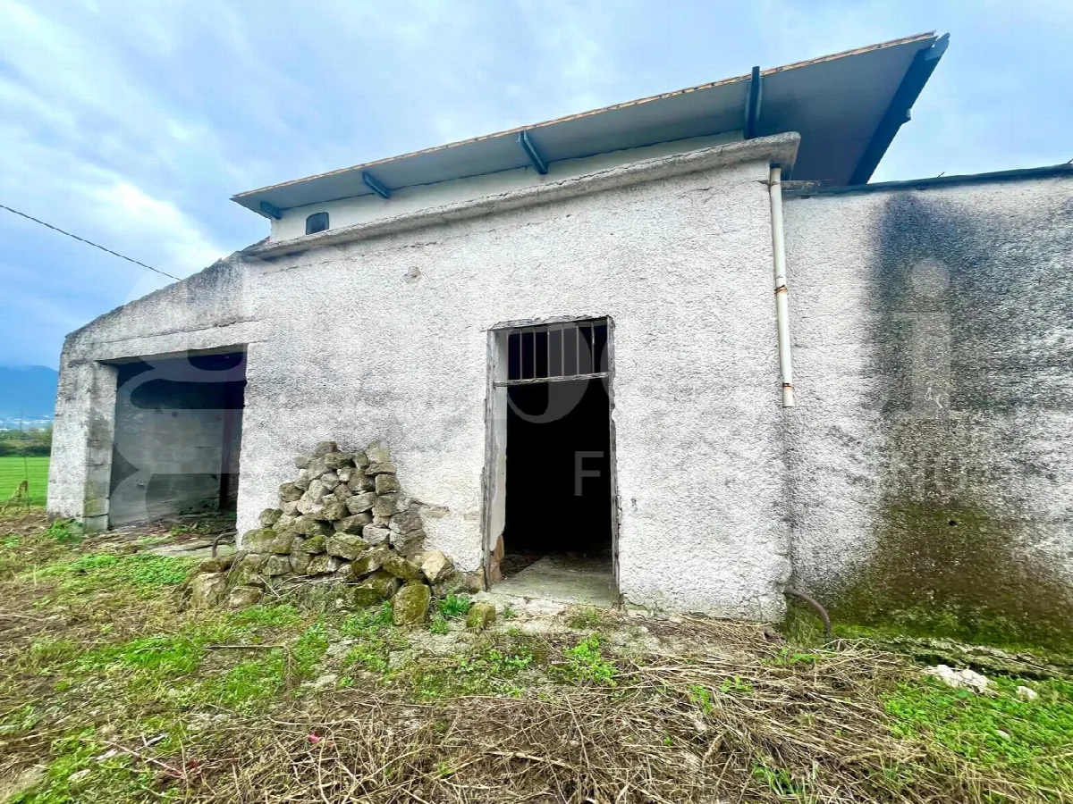 Rustico/Casale in vendita ad Alife - foto 2