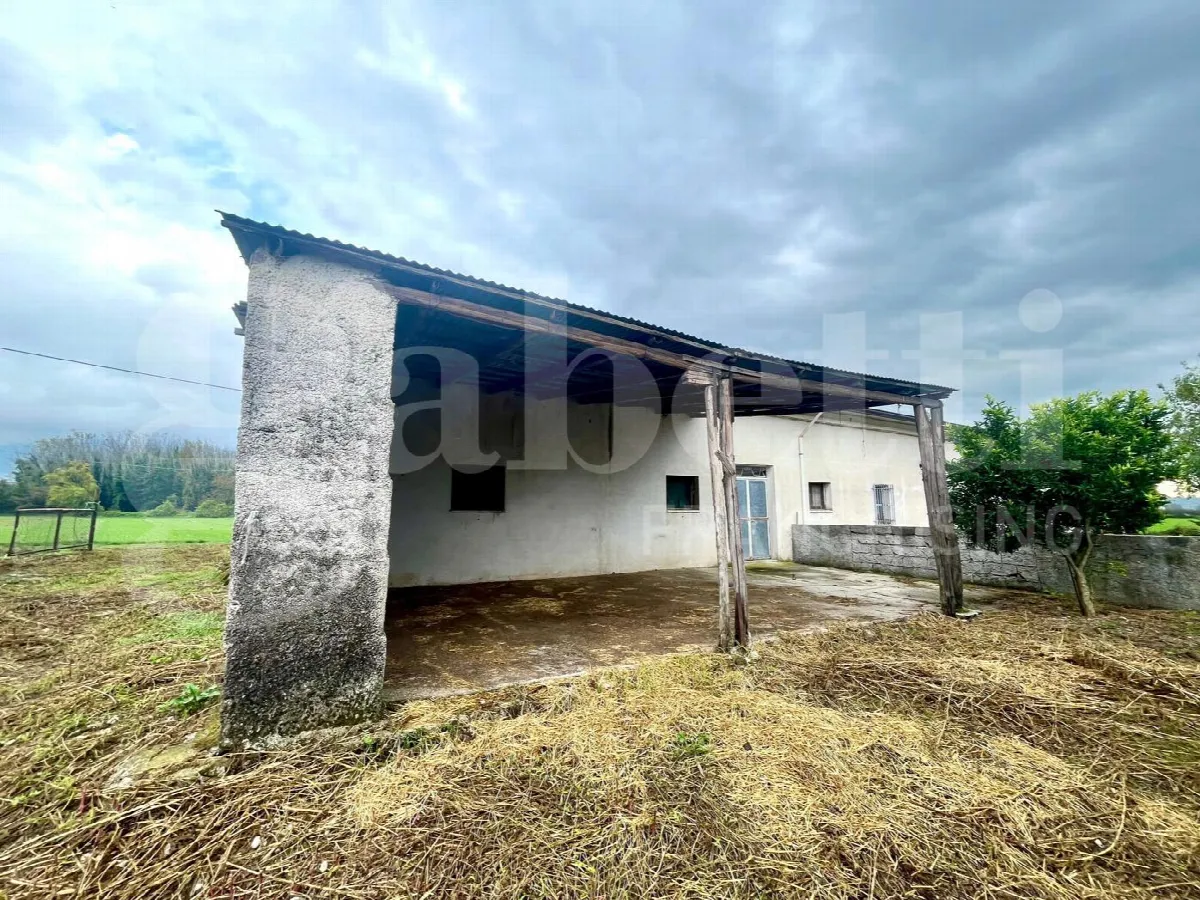 Rustico/Casale in vendita ad Alife - foto 3