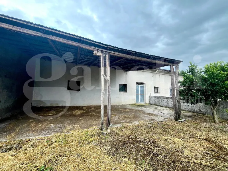 Rustico/Casale in vendita a Alife - foto 4