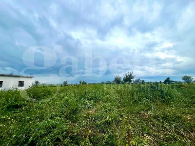 Rustico/Casale in vendita a Alife - foto 5