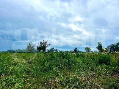 Rustico/Casale in vendita a Alife - foto 6
