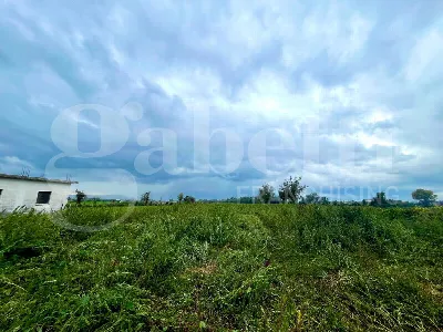 Rustico/Casale in vendita a Alife - foto 7