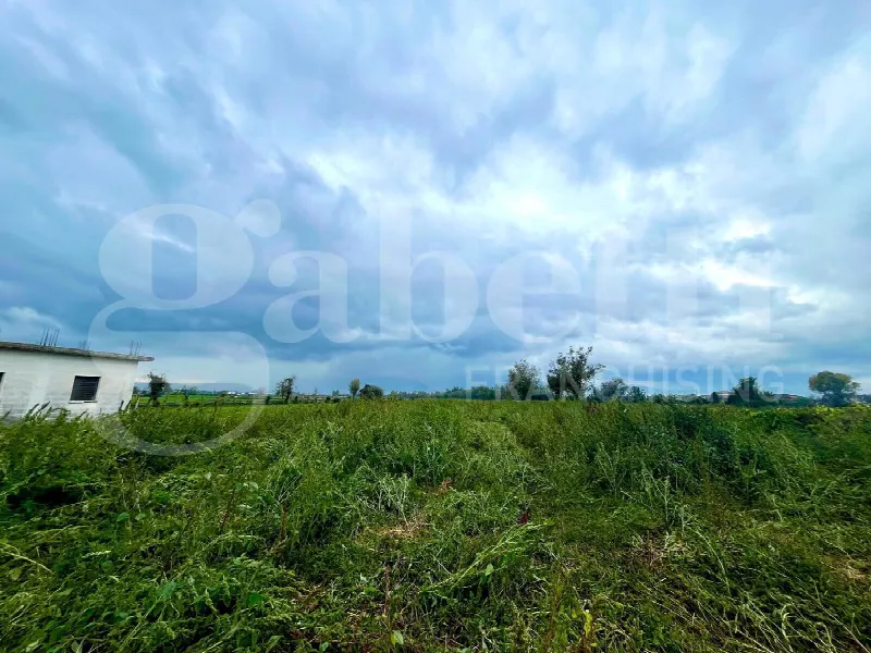 Rustico/Casale in vendita a Alife - foto 7