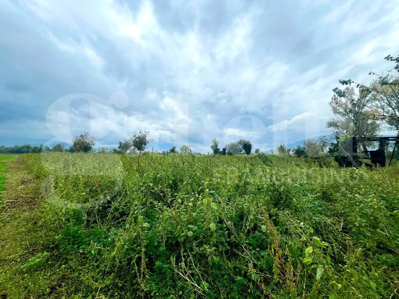 Rustico/Casale in vendita a Alife - foto 8