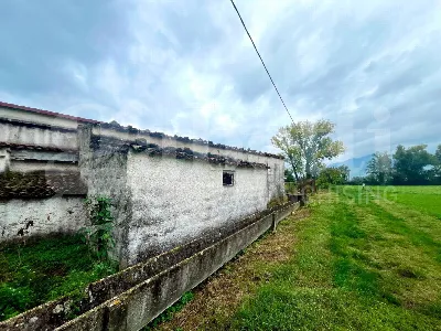 Rustico/Casale in vendita a Alife - foto 9