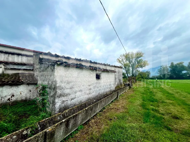 Rustico/Casale in vendita a Alife - foto 9