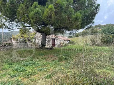 Rustico/Casale in vendita a Liberi - foto 4