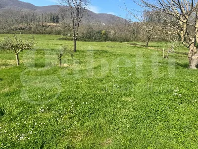 Rustico/Casale in vendita a Pratella - foto 6