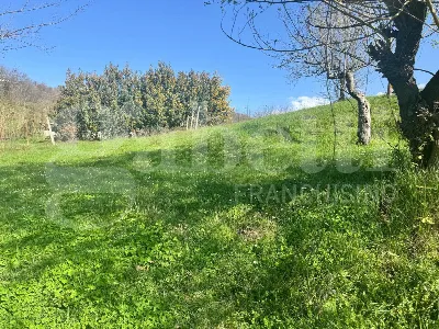 Rustico/Casale in vendita a Pratella - foto 7