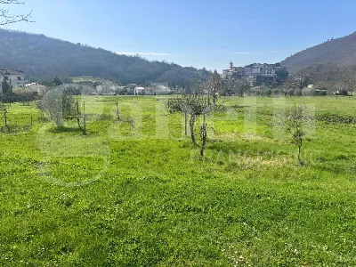 Rustico/Casale in vendita a Pratella - foto 9