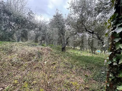 Casa Indipendente in vendita a Gioia Sanni... - foto 10