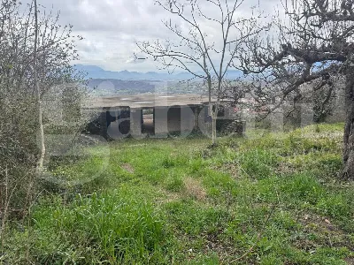 Casa Indipendente in vendita a Gioia Sanni... - foto 6